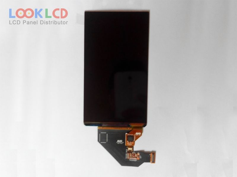 H546DLB01.1