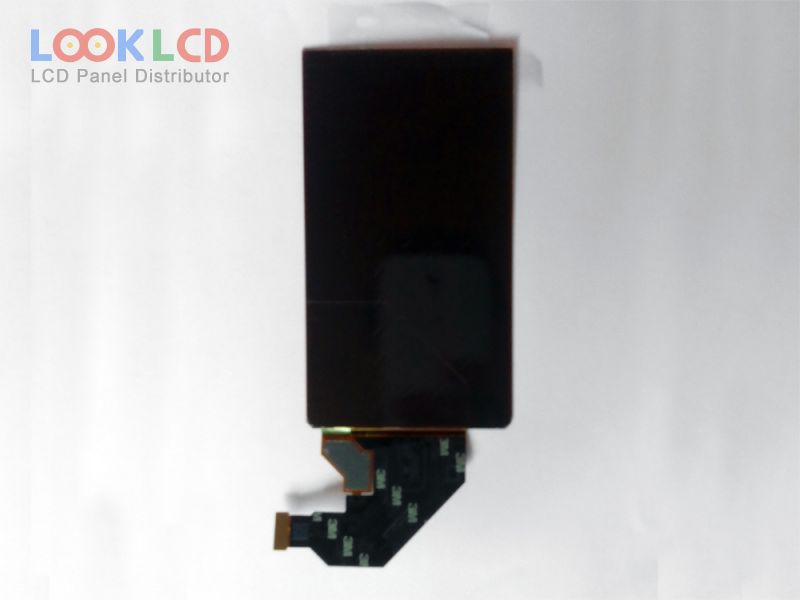 H546DLB01.1